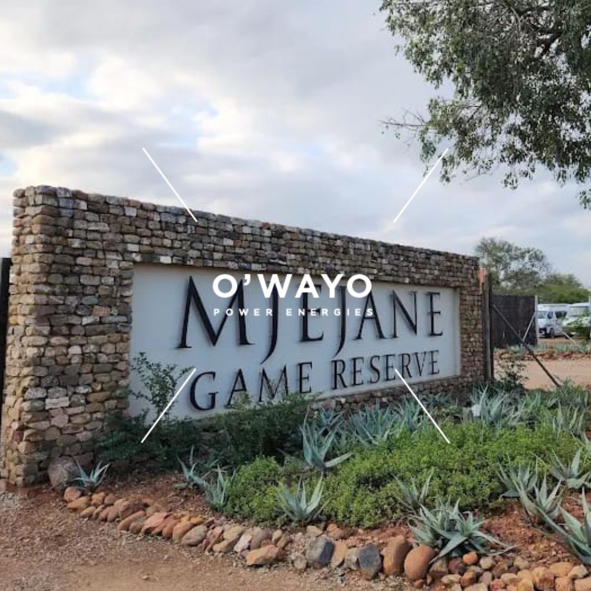 Mjejane Bush Camp by Dreams Resort project